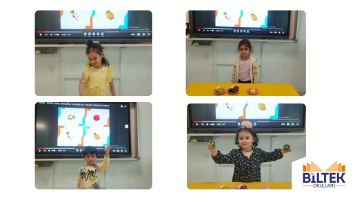 Özel Ankara Biltek İlkokulu Söğüt Sınıfı