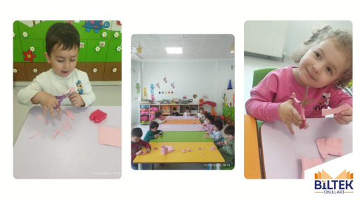 Özel Ankara Biltek İlkokulu Söğüt Sınıfı