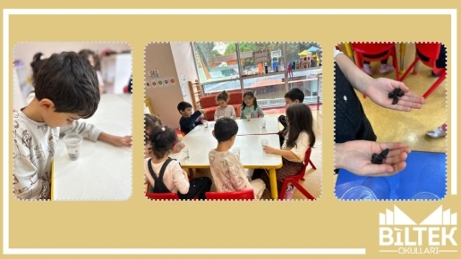 Fen ve Doğa Etkinliğimizde Zıplayan Üzümler Deneyi