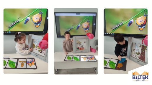 TIRTILDAN KELEBEĞE YOLCULUK