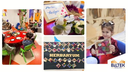 HERBARYUM ATÖLYESİ