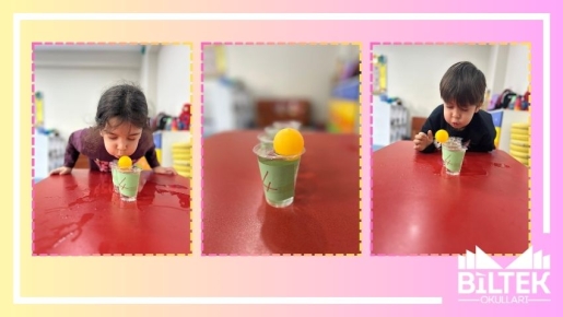 Anaokulu 4 Yaş Sınıfı – Eğlenceli Matematik Zamanı!