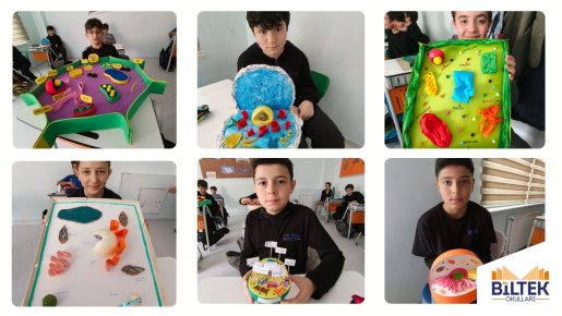 7/A SINIFINDAN HÜCRE MODELİ